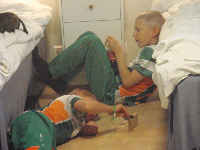 Leimaus2010 030.jpg